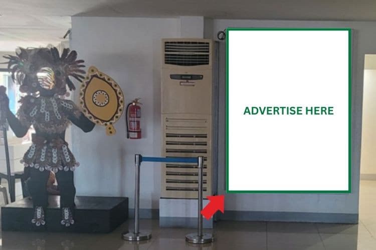 1 Panel Vertical Lightbox Billboard at Kalibo International Airport, Kalibo, Aklan (Domestic Arrival Exit)